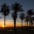 Sonnenaufgang Valencia