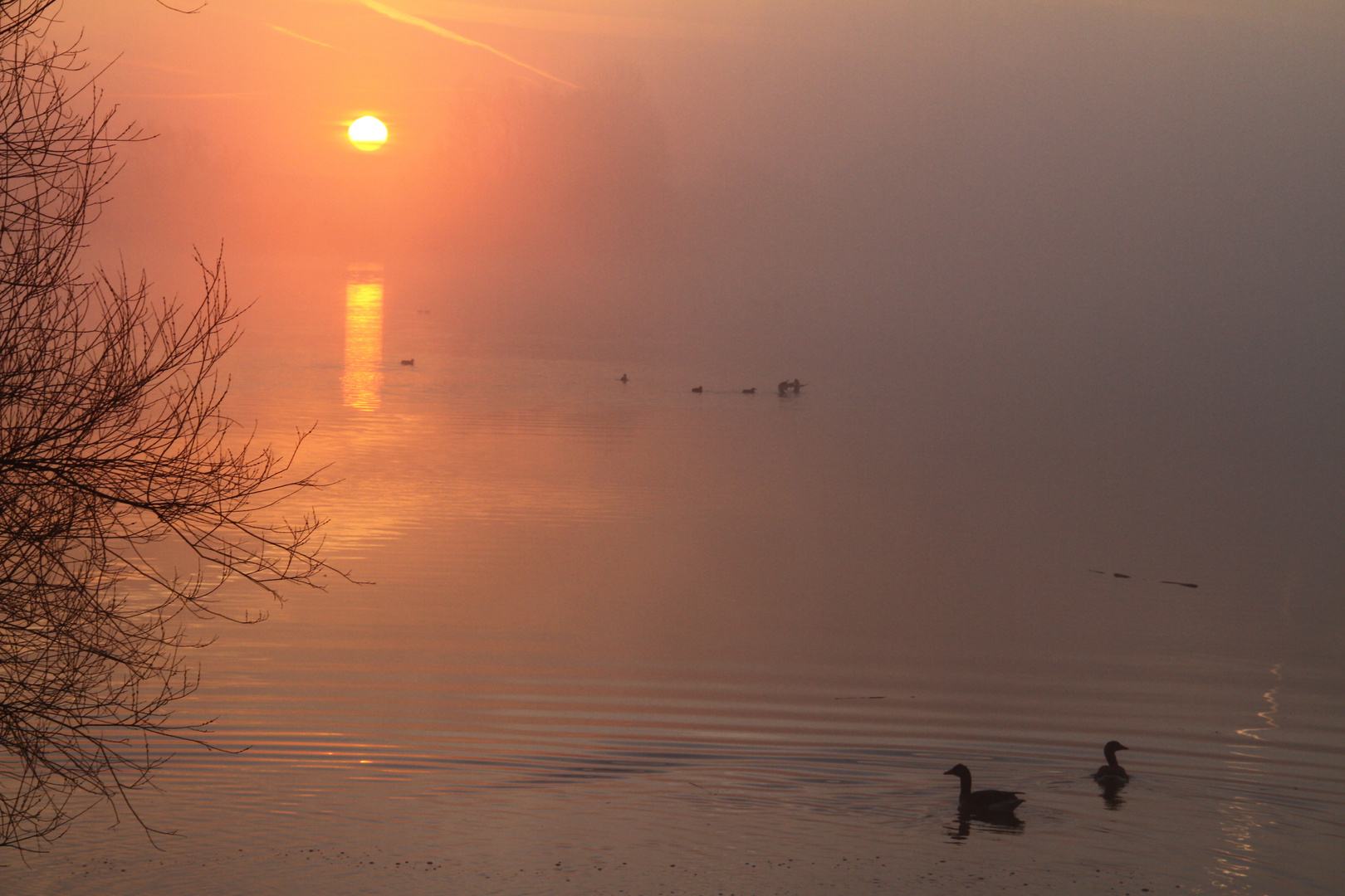 sonnenaufgang vogelinsel