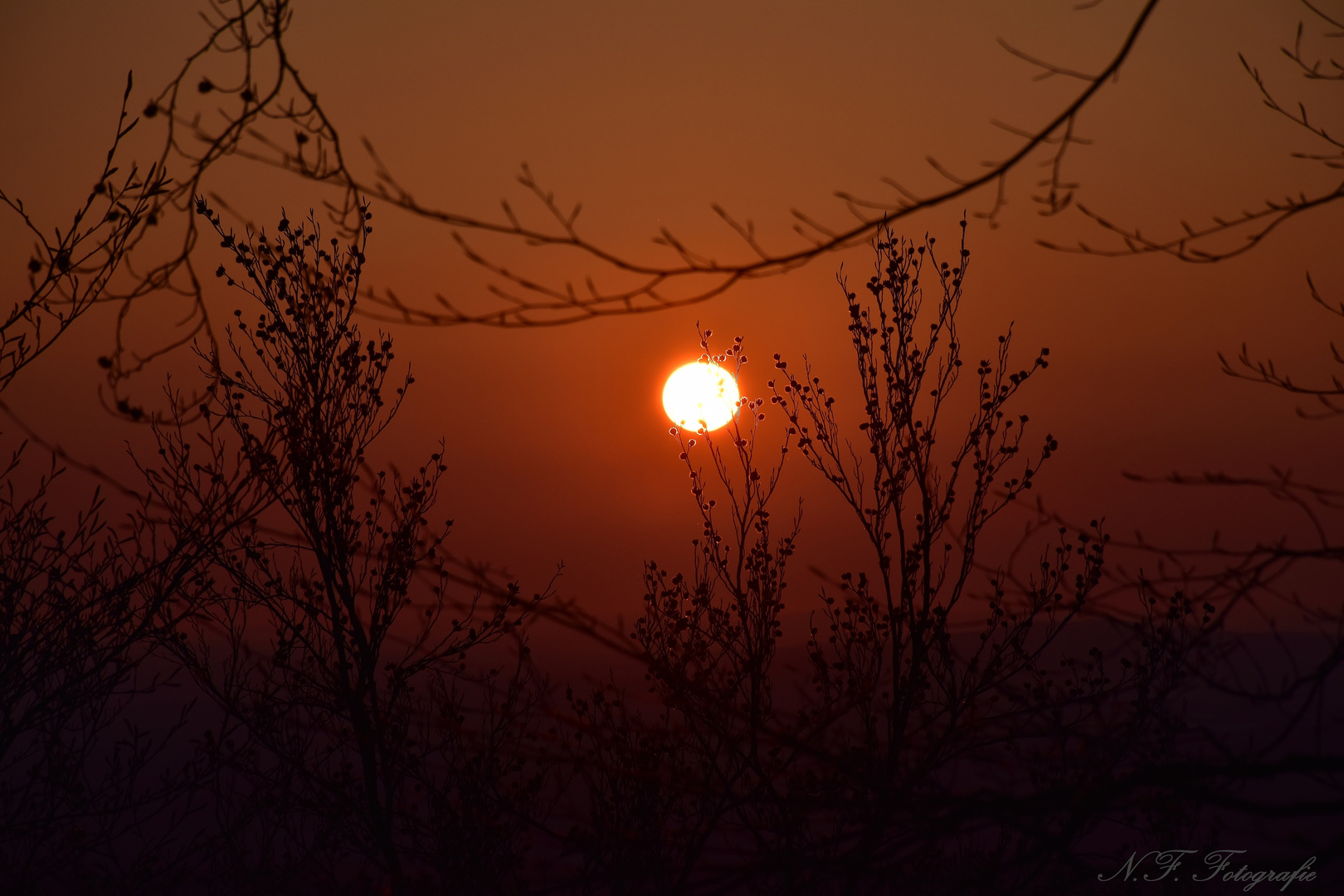 Sonnenaufgang vom Ölberg in Königswinter