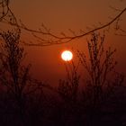 Sonnenaufgang vom Ölberg in Königswinter