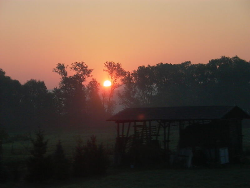 Sonnenaufgang vom Zug