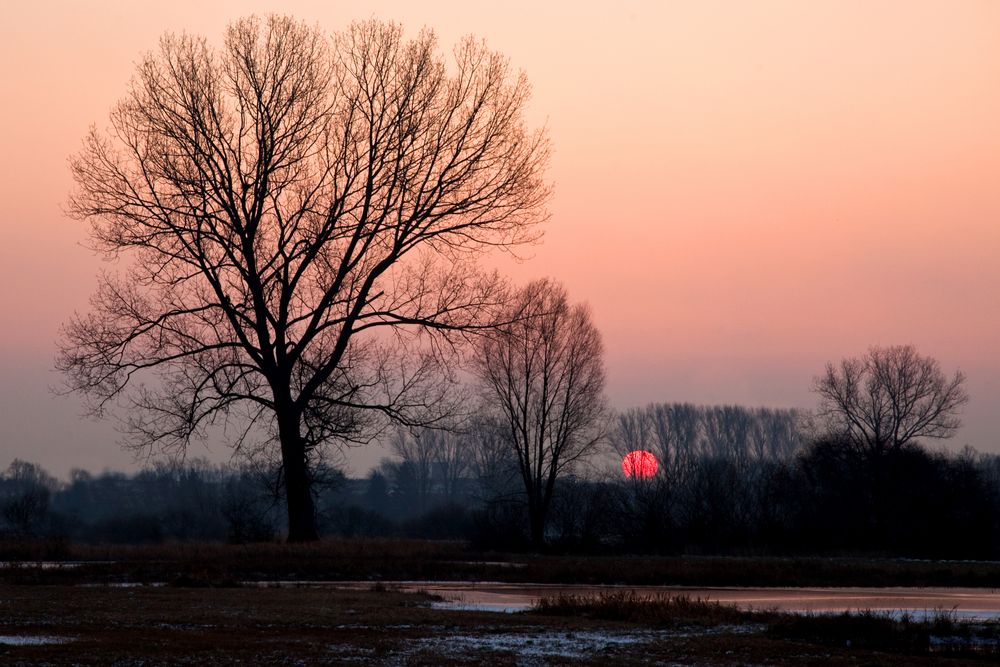 Sonnenaufgang von heute...