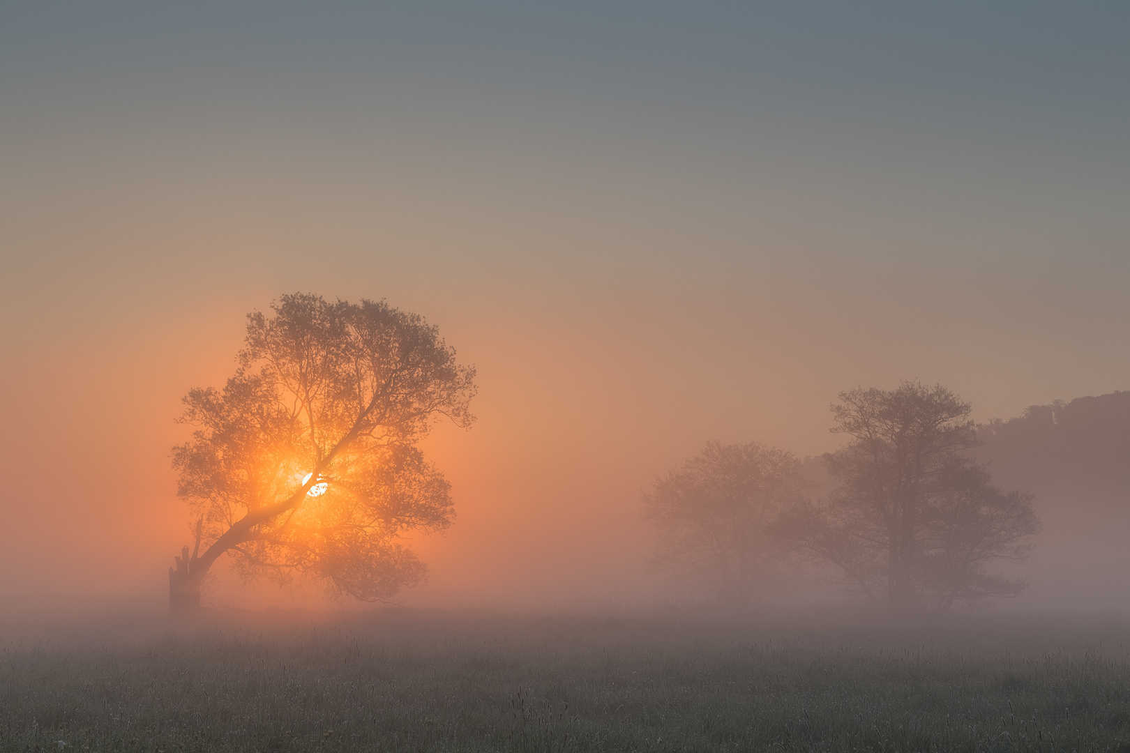 Sonnenaufgang von heute Morgen in den Lahn Auen