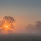 Sonnenaufgang von heute Morgen in den Lahn Auen