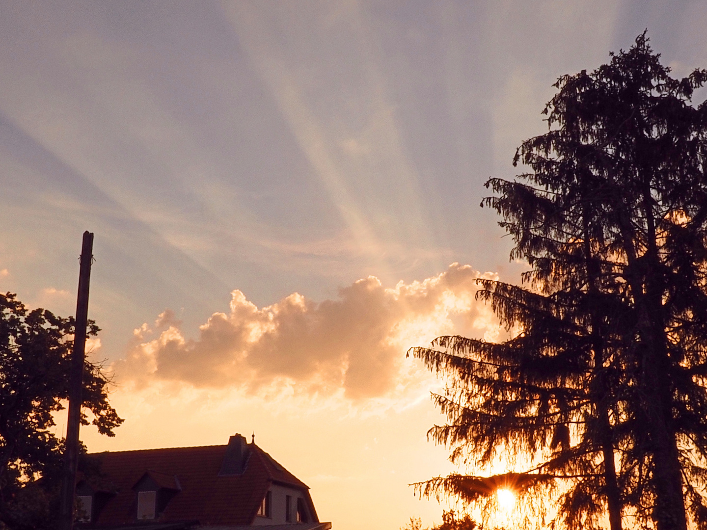 Sonnenaufgang von meinem Garten aus gesehen