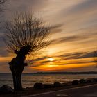 Sonnenaufgang vor Boltenhagen an der Ostsee