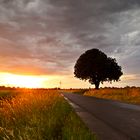 Sonnenaufgang vor dem Sturm