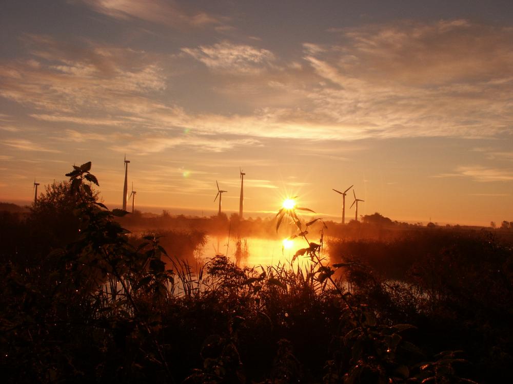 Sonnenaufgang vor dem Windpark