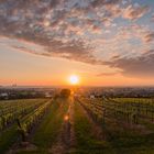 Sonnenaufgang vor den Toren der Stadt