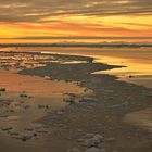 Sonnenaufgang vor der antarktischen Halbinsel