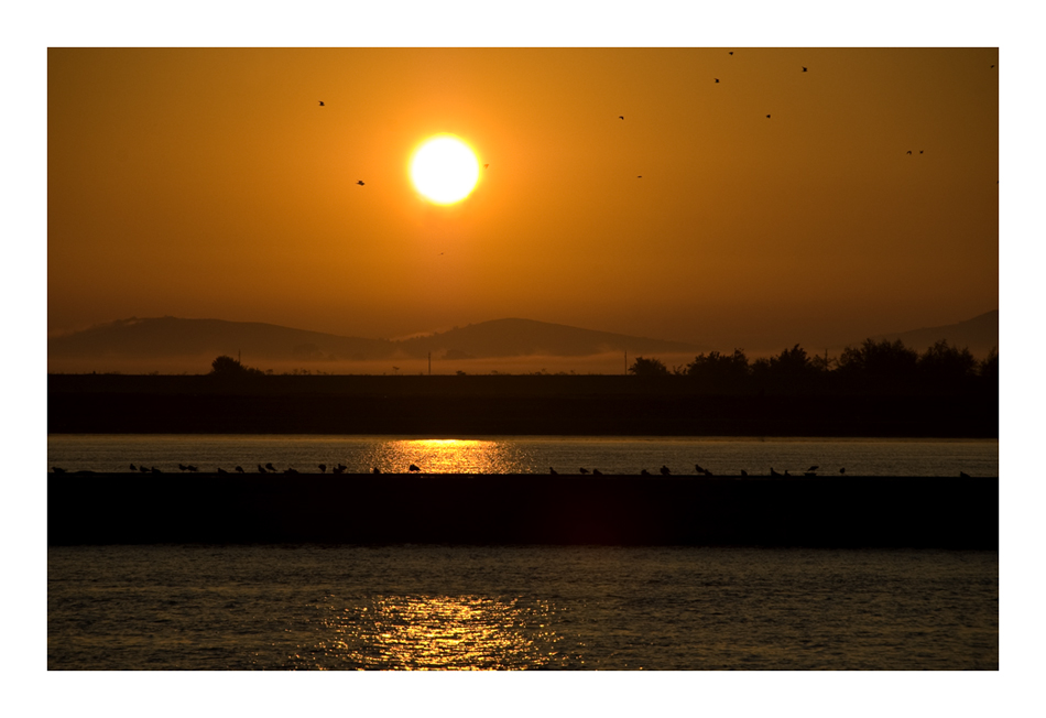 Sonnenaufgang vor Galati (Donau)