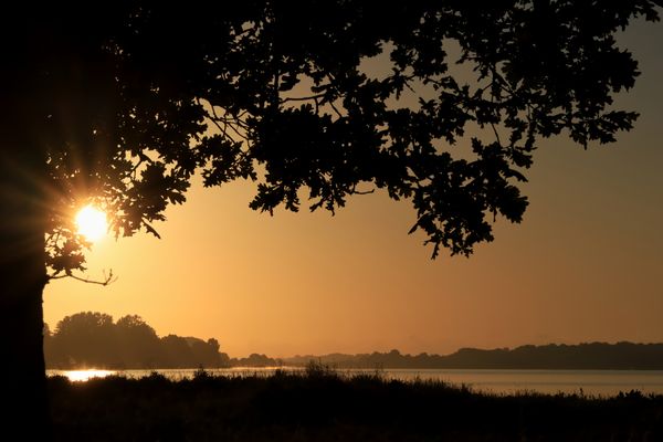 Sonnenaufgang vor Holnis an der Schlei