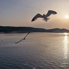 Sonnenaufgang vor Sardinien