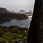 Sonnenaufgang vor Ucluelet