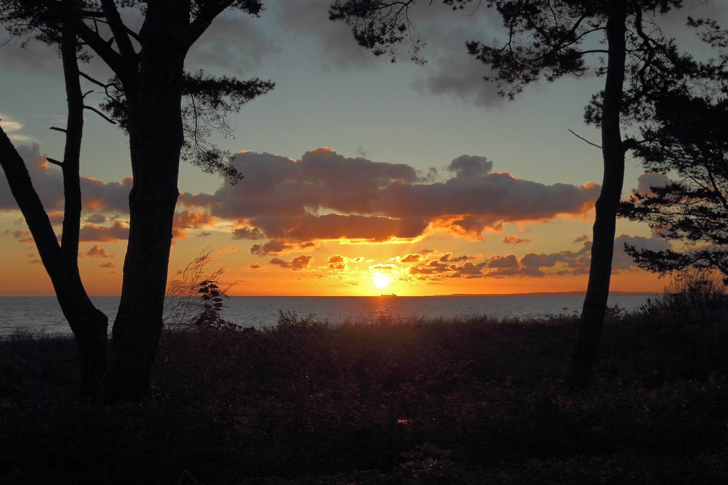 Sonnenaufgang vor Usedom