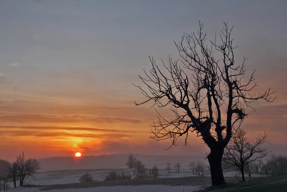 Sonnenaufgang  vor wenigen Stunden auf der Nollendorfhöhe im...