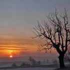 Sonnenaufgang  vor wenigen Stunden auf der Nollendorfhöhe im...