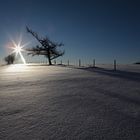 Sonnenaufgang Wasserkuppe 2