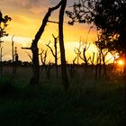 Sonnenaufgang Weststrand Darß