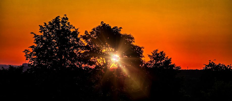 Sonnenaufgang - wie in Afrika...