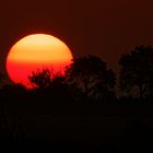 Sonnenaufgang    _wieder beginnt ein neuer Tag