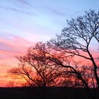 Sonnenaufgang Wildpark Knüll