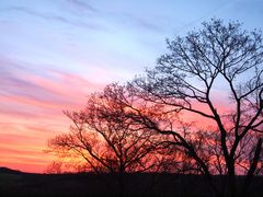 Sonnenaufgang Wildpark Knüll