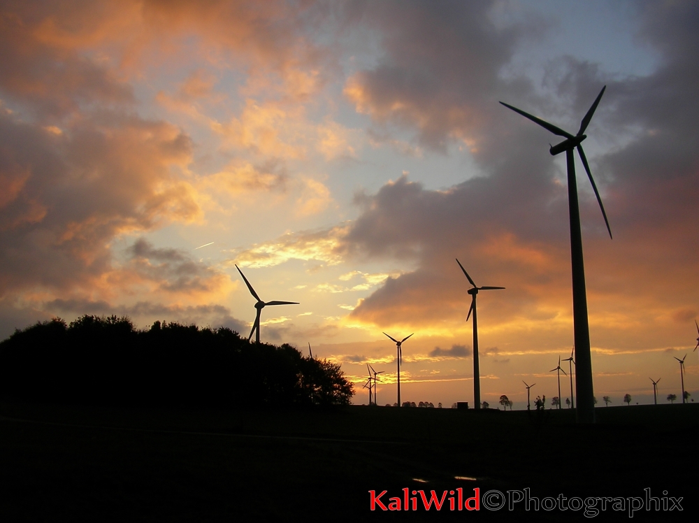 Sonnenaufgang Windpark Lichtenau (2006)