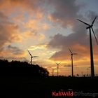 Sonnenaufgang Windpark Lichtenau (2006)