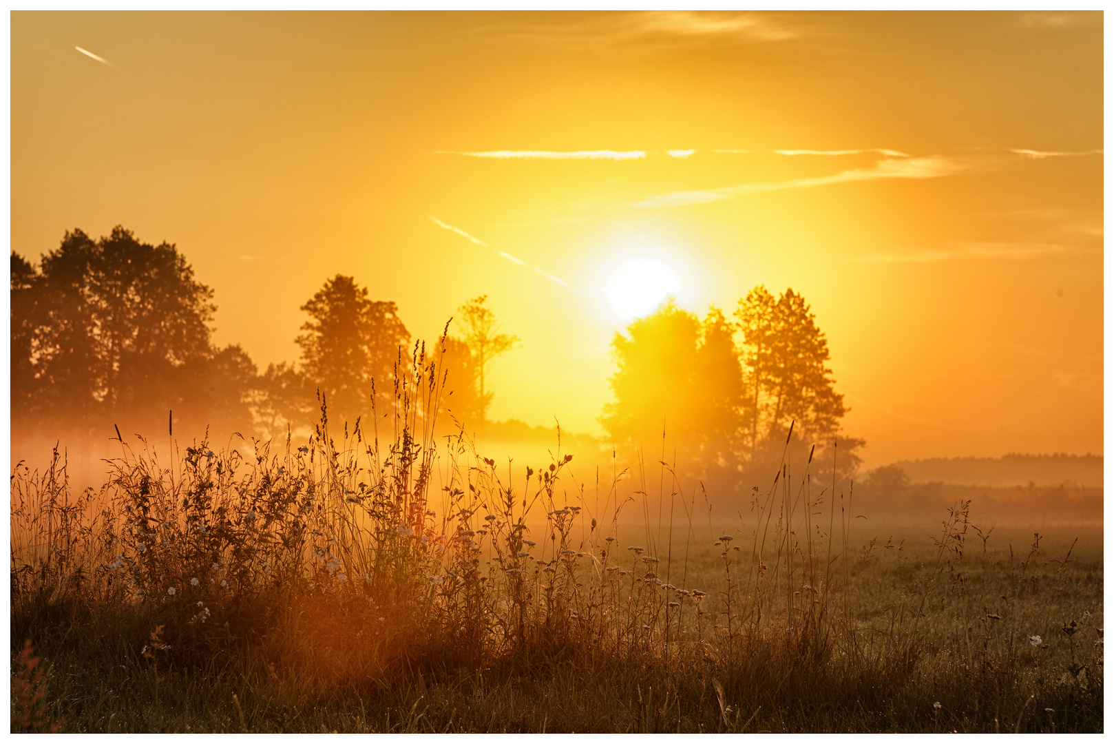 Sonnenaufgang Wojewodztwo