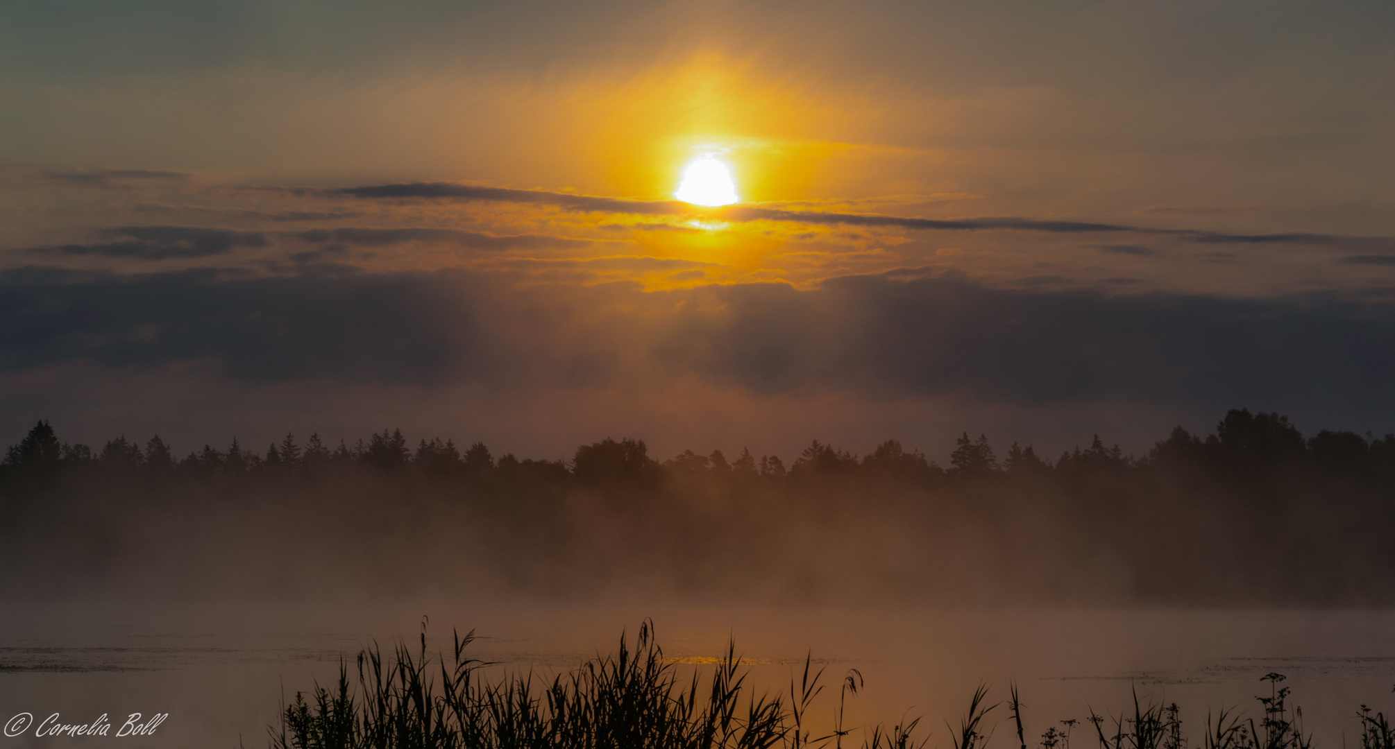 Sonnenaufgang Wurzacher Ried im Sommer