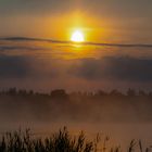 Sonnenaufgang Wurzacher Ried im Sommer