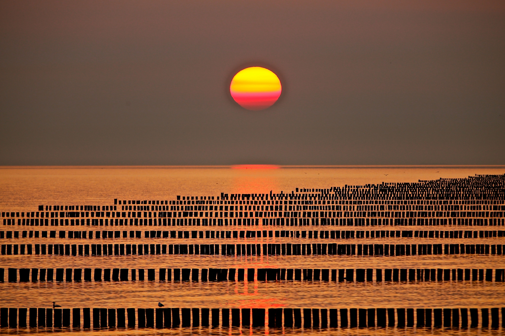 Sonnenaufgang Zingst