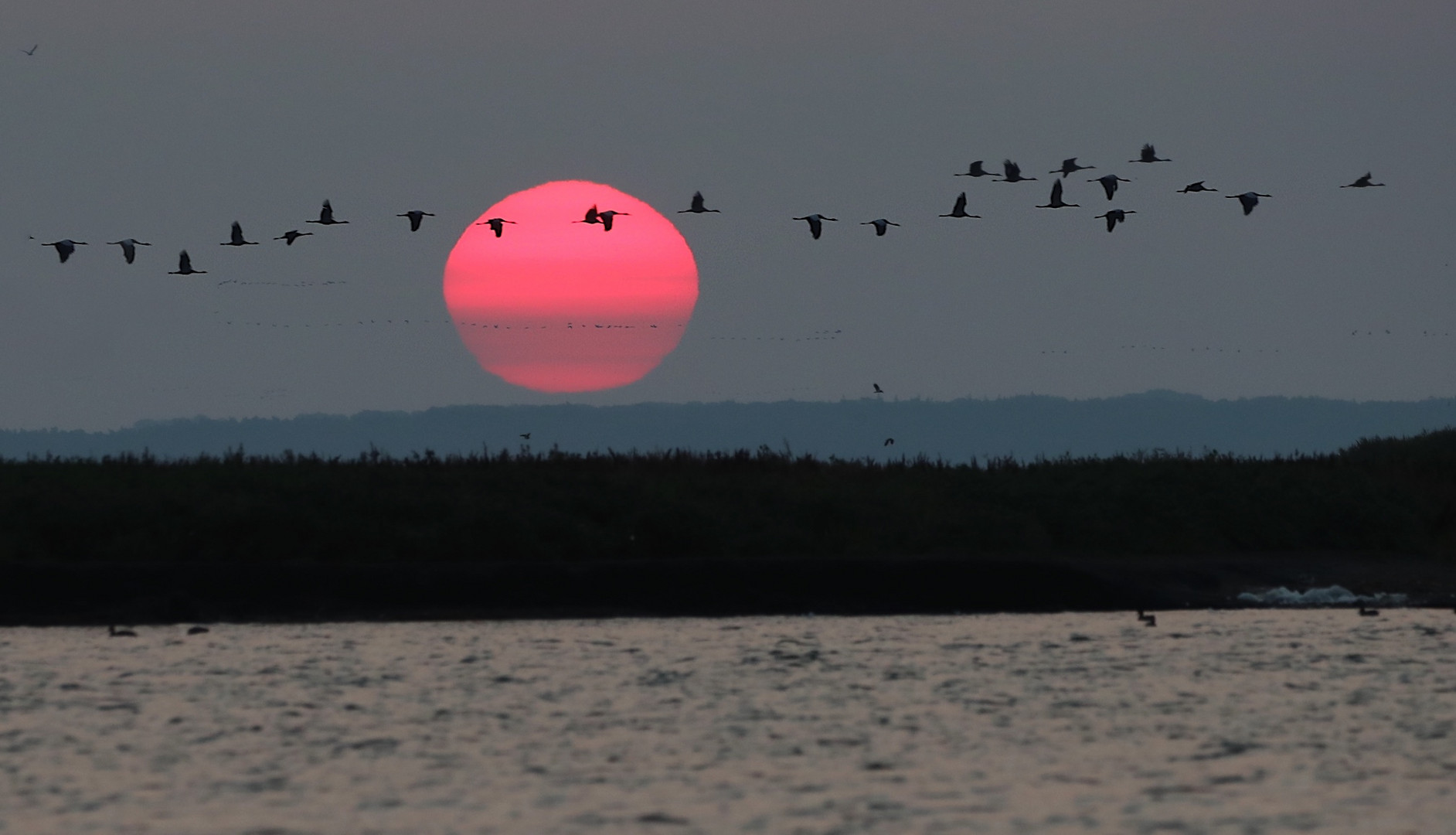 Sonnenaufgang Zingst 