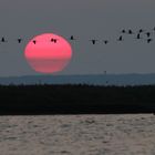 Sonnenaufgang Zingst 