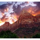 Sonnenaufgang Zion Campground