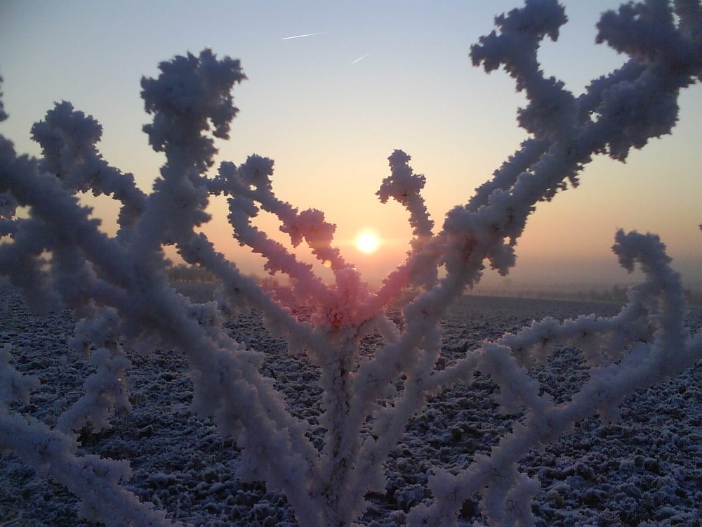 Sonnenaufgang zu Silvester 2008