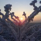 Sonnenaufgang zu Silvester 2008