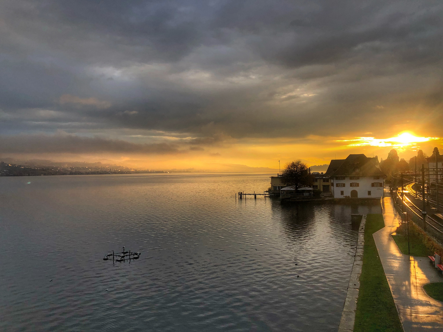 Sonnenaufgang Zürichsee