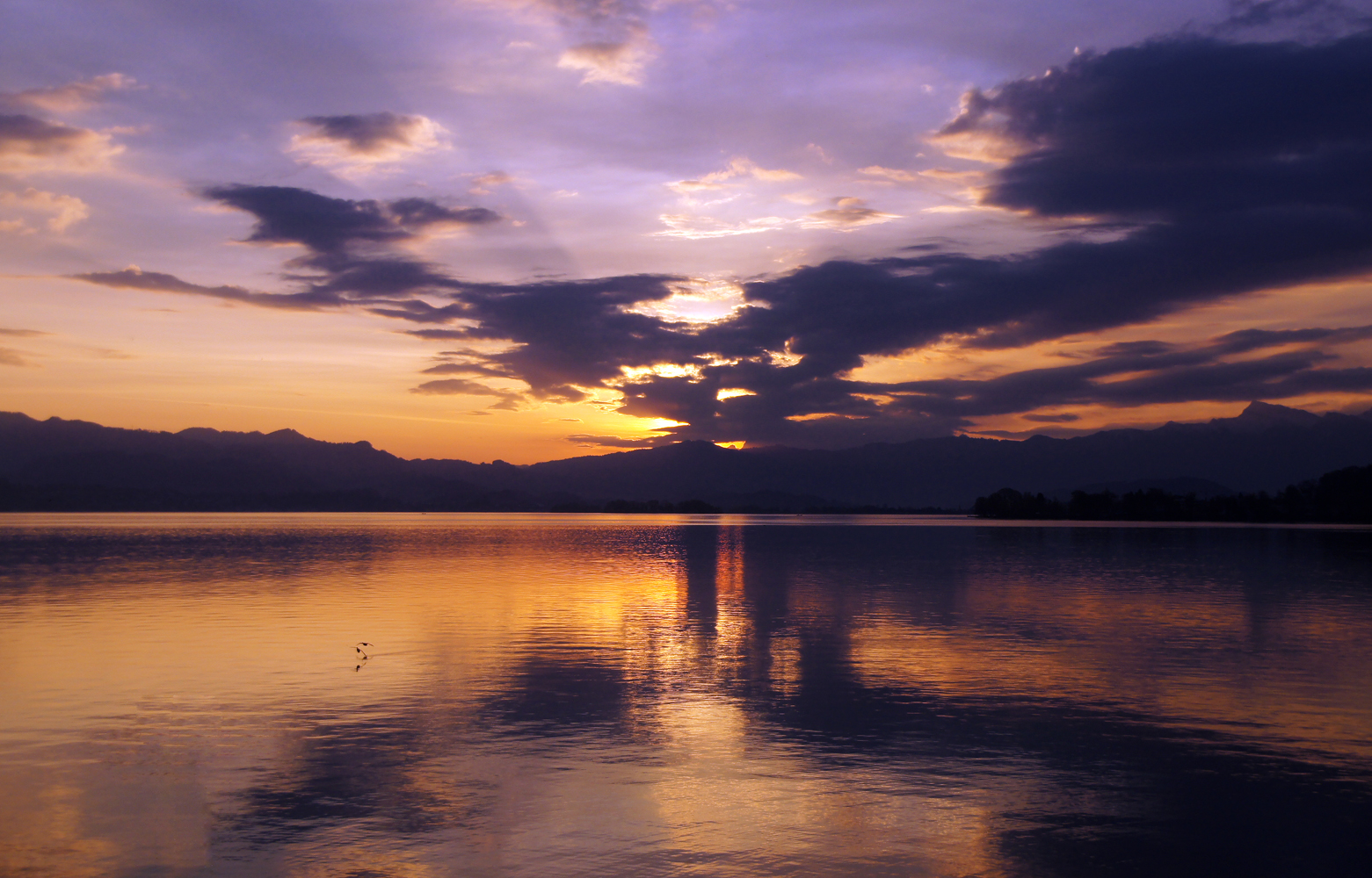 Sonnenaufgang Zürichsee