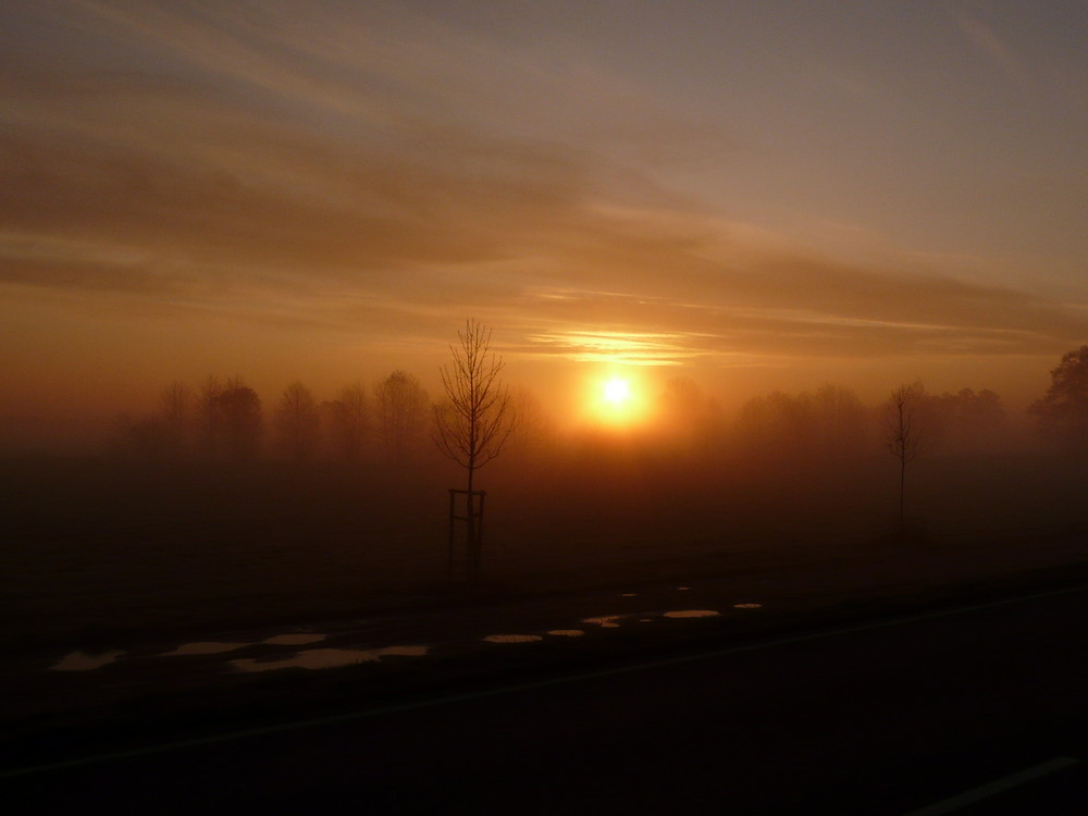 Sonnenaufgang zur ADAC Havelandrallye