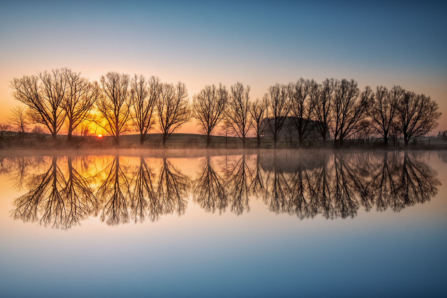 sonnenaufgang zwischen den bäumen