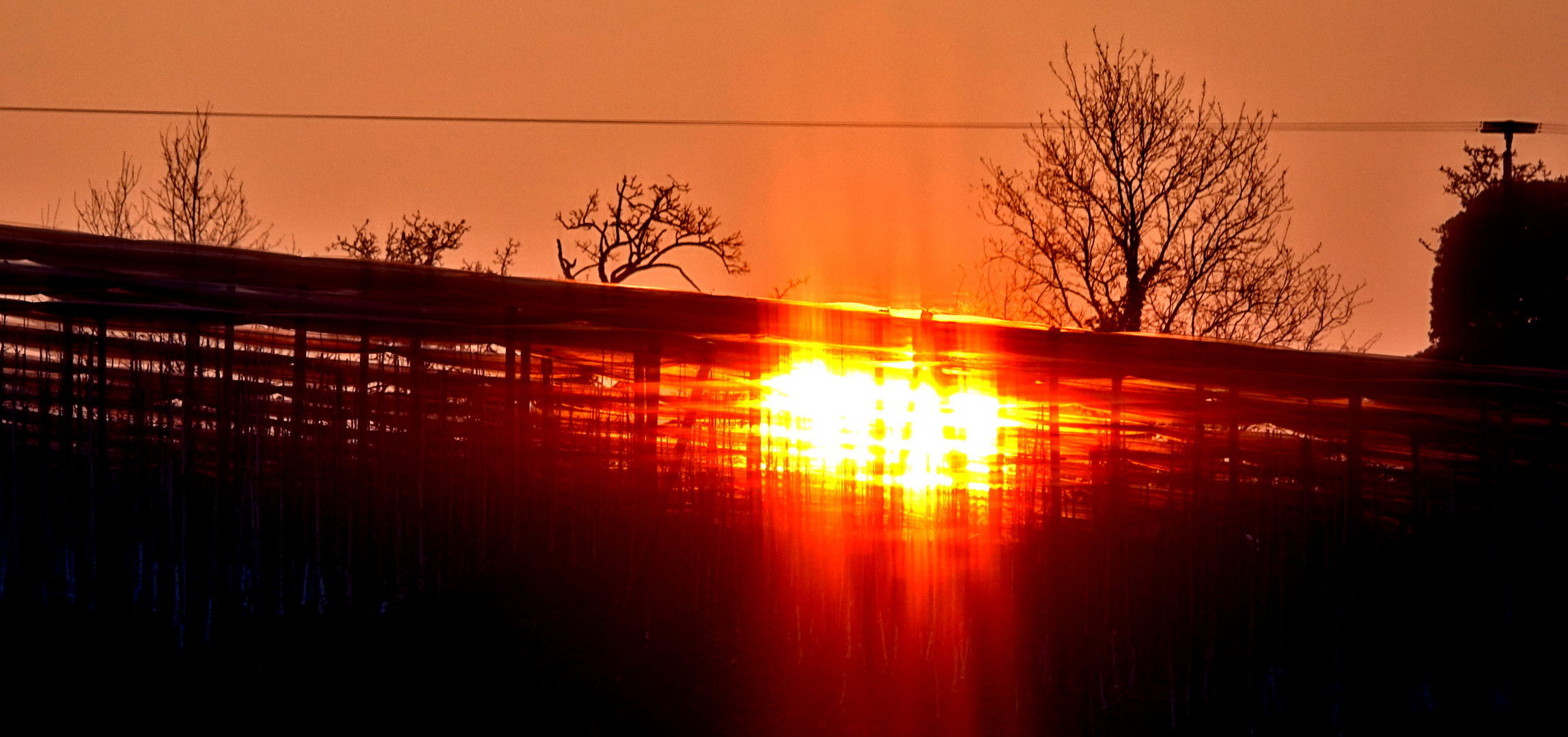 Sonnenaufgang zwischen Hagelnetzen