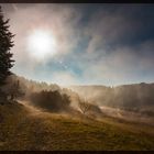 Sonnenaufgang zwischen nebelfeldern