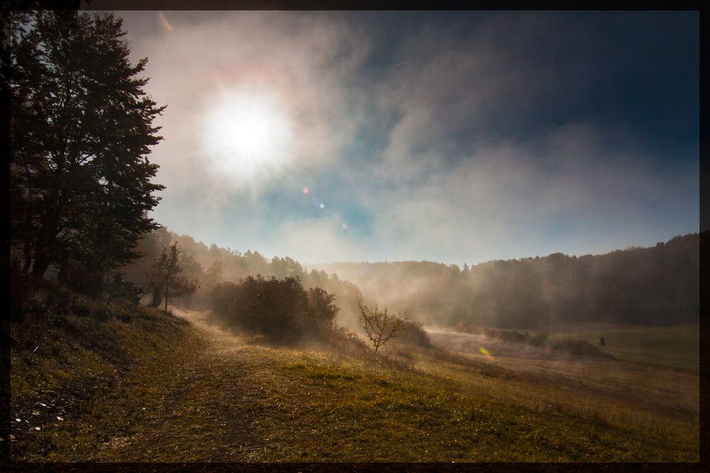 Sonnenaufgang zwischen nebelfeldern