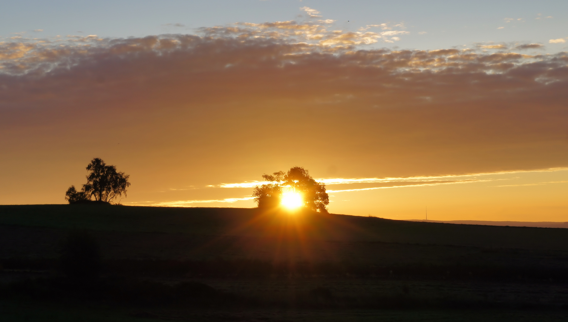 Sonnenaufgang zwischen zwei Bäumen