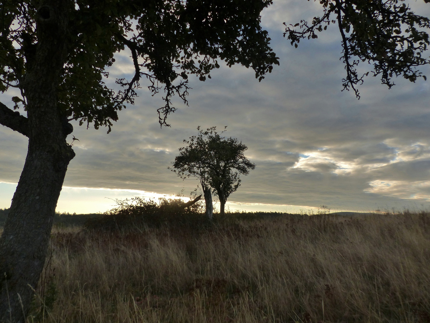 Sonnenaufgang_12.10.2018