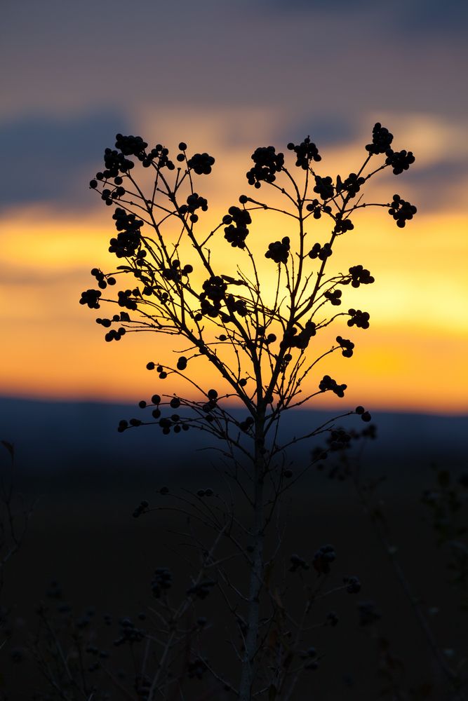 Sonnenaufgang3