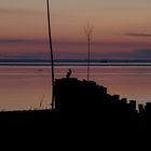 Sonnenaufgang/Dämmerung auf der Insel Amrum 2014