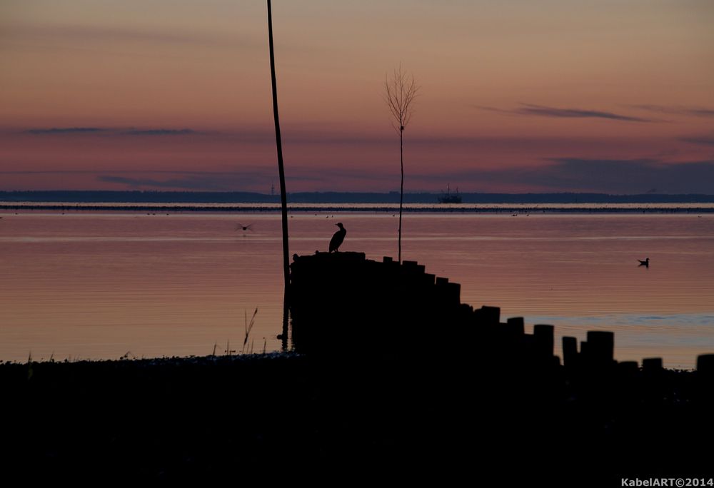 Sonnenaufgang/Dämmerung auf der Insel Amrum 2014